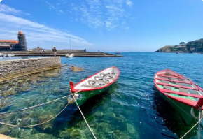 Collioure Fisherman's House Apartment with Garden